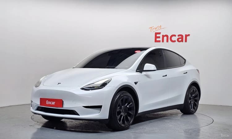 Model Y