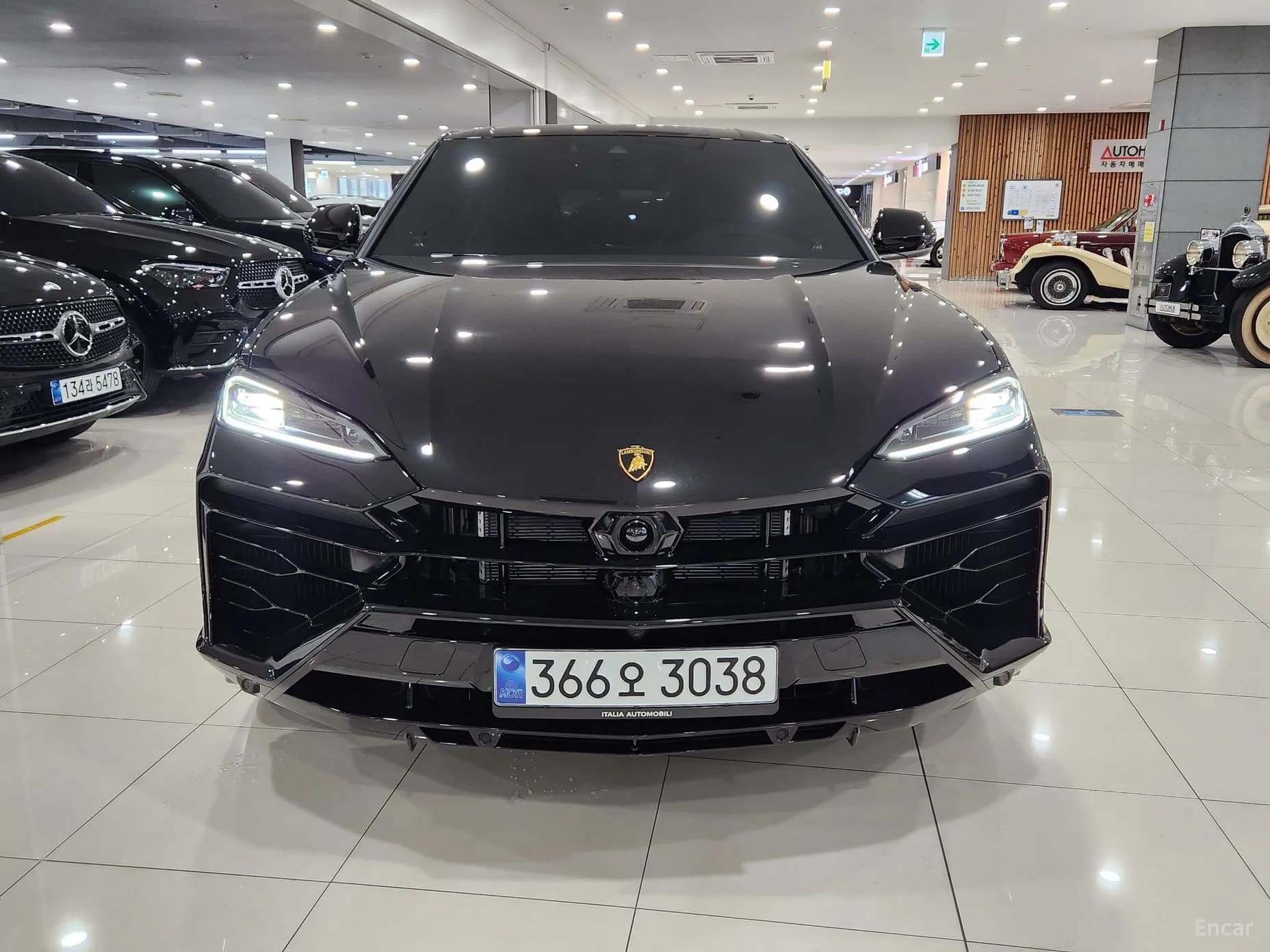 Urus