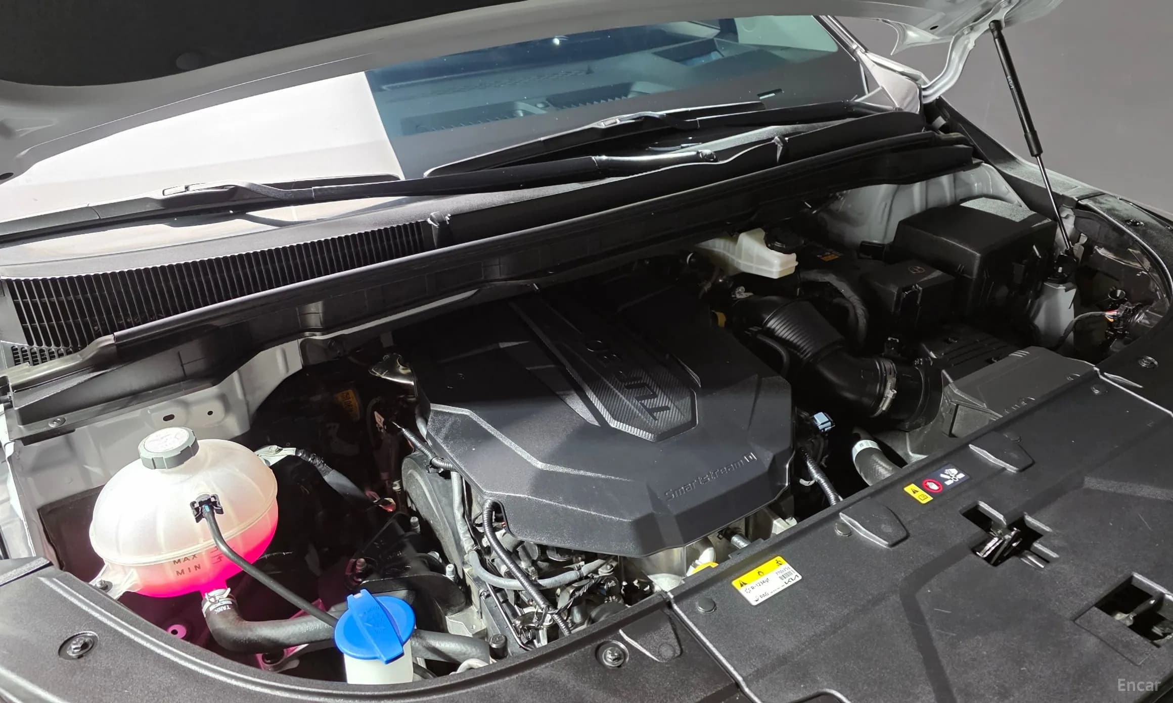 Carnival 4th Generation