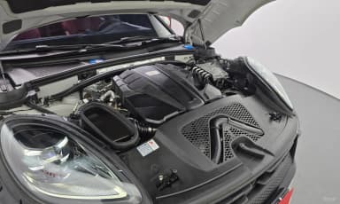 Macan