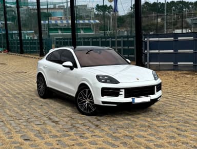 Cayenne (PO536)