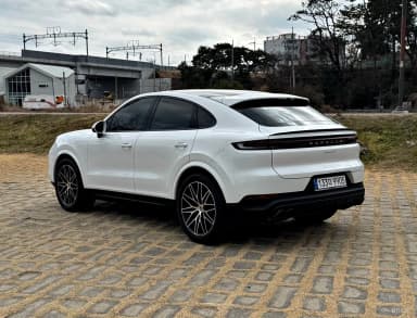 Cayenne (PO536)