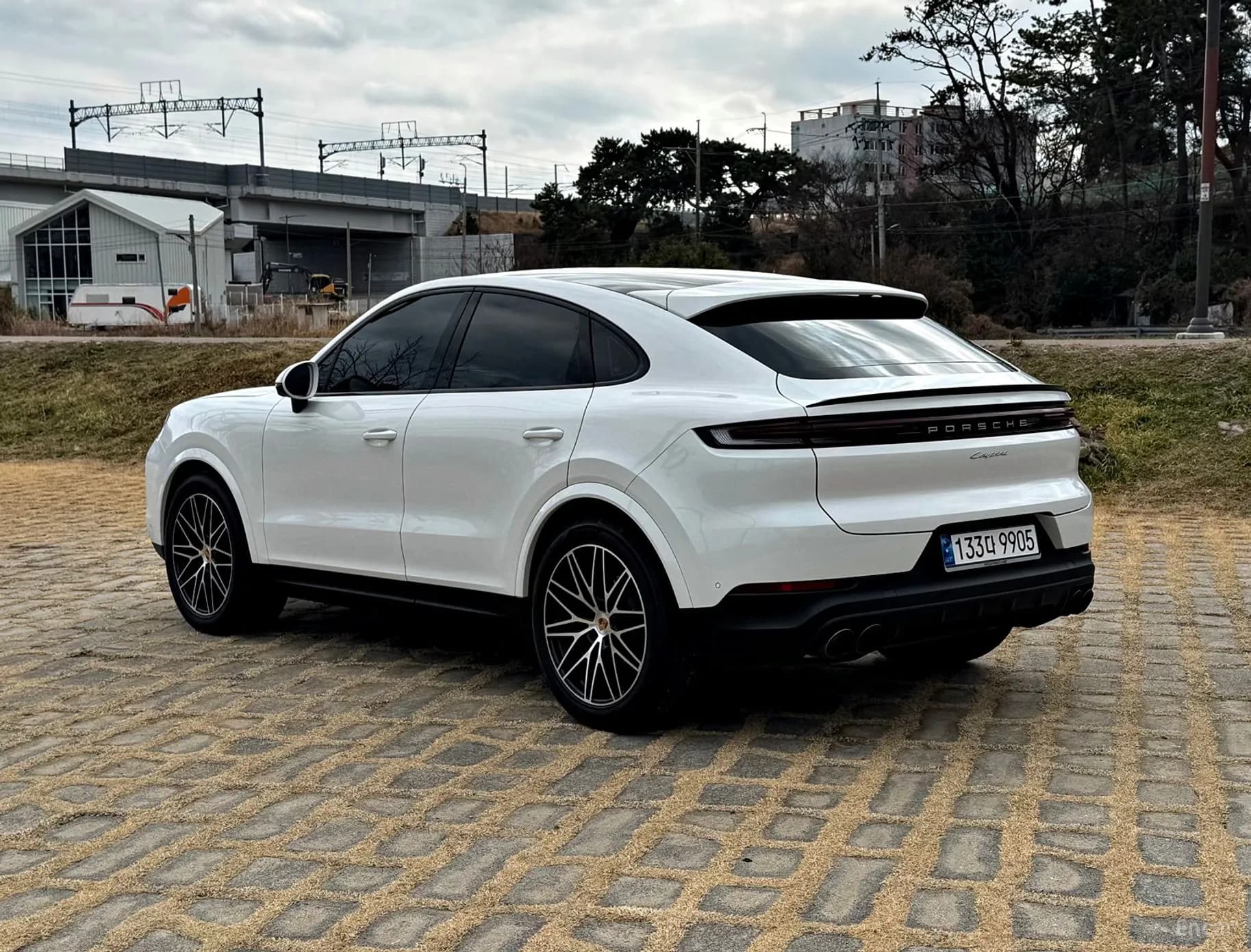Cayenne (PO536)