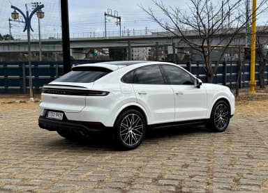 Cayenne (PO536)