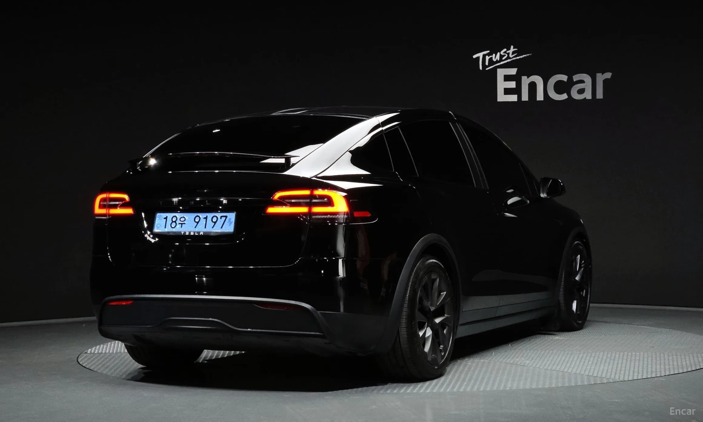 Model X