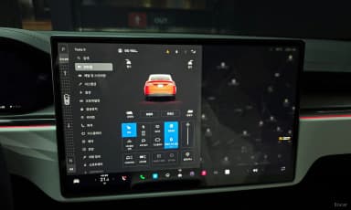 Model X