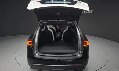 Model X