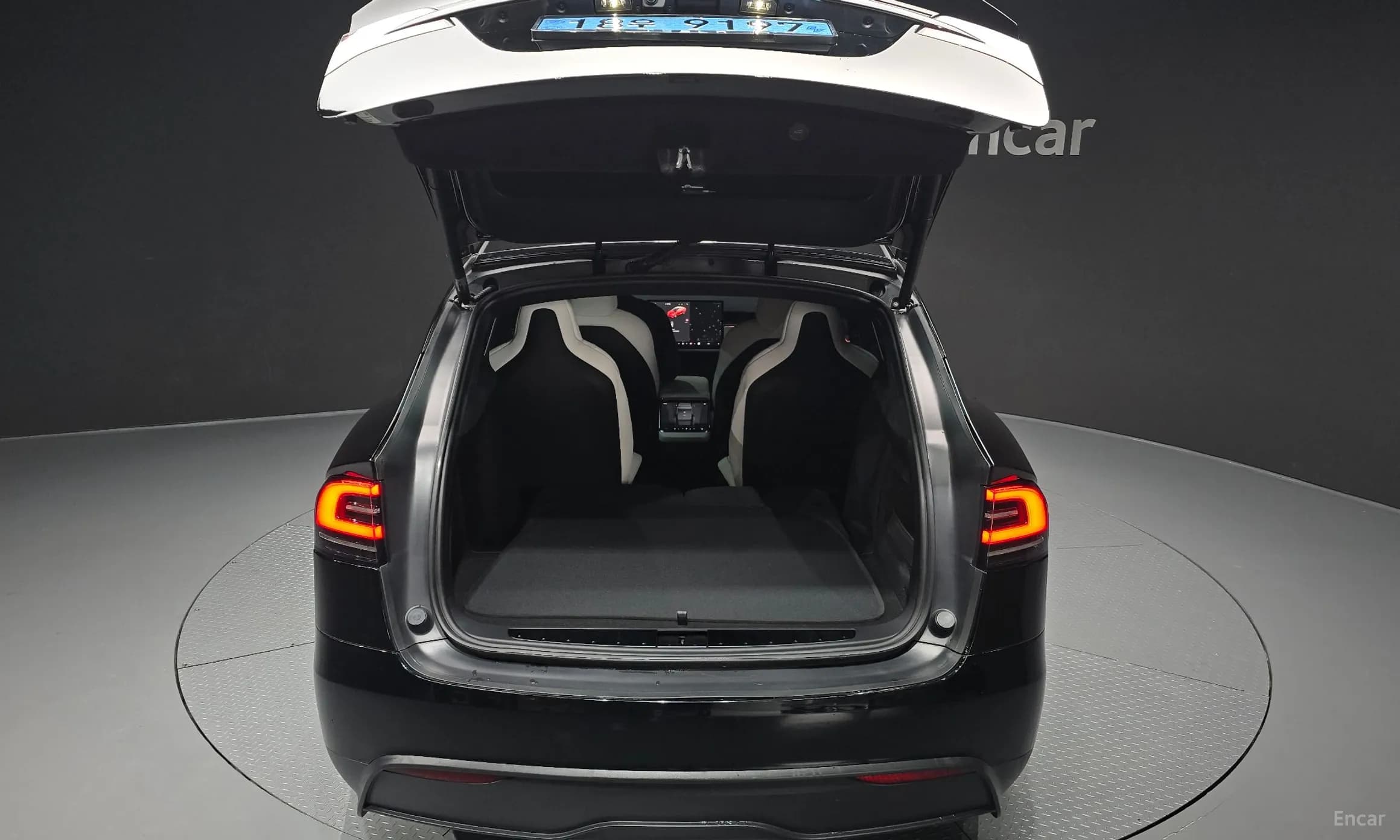 Model X