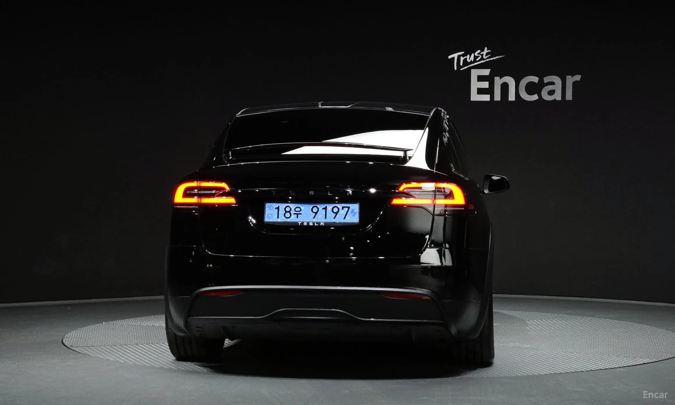 Model X