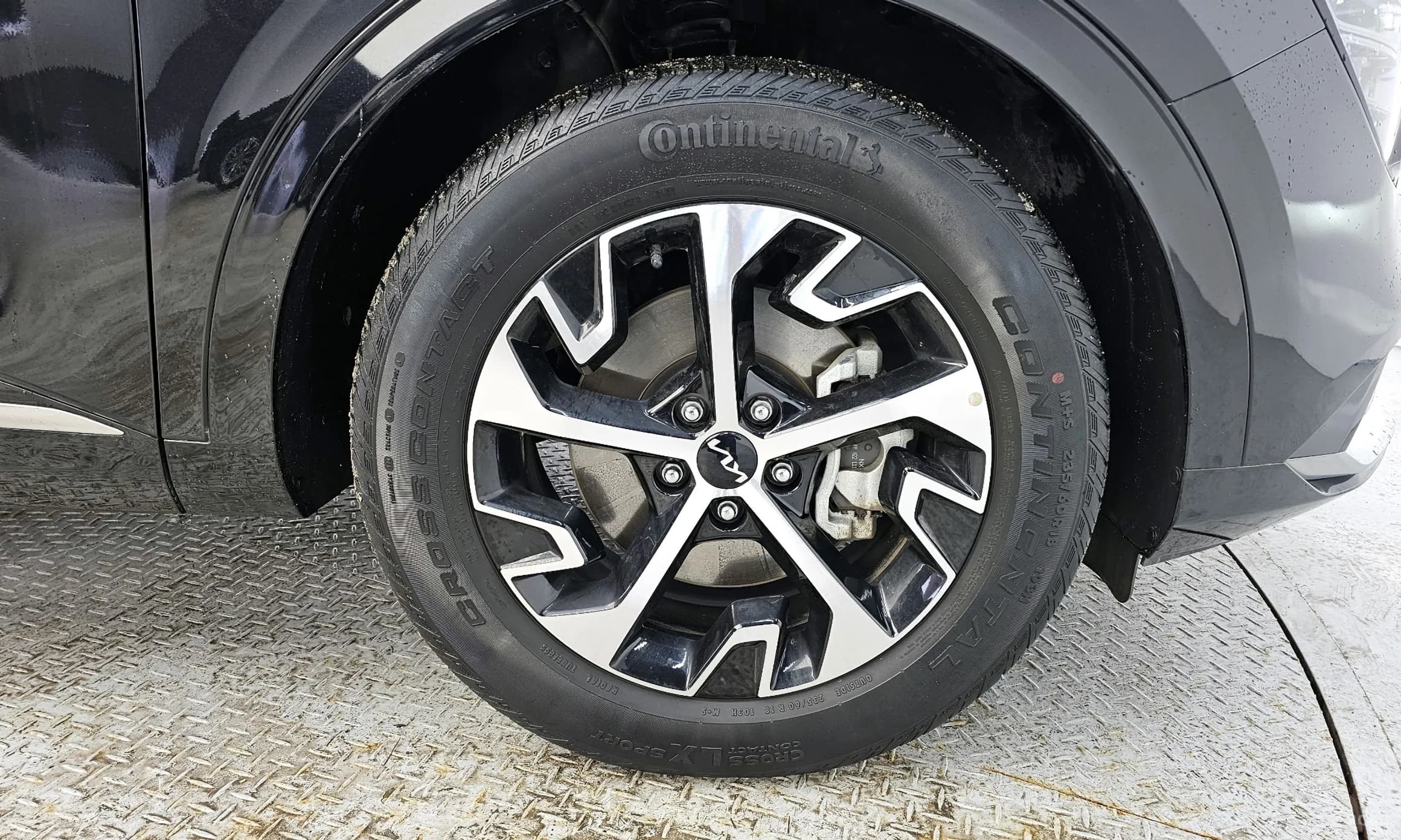 Sportage 5th Generation Hybrid