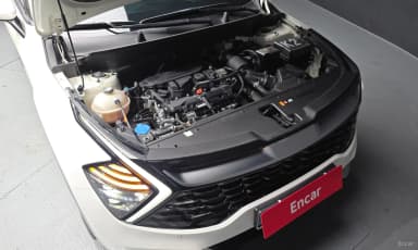 Sportage 5th Generation
