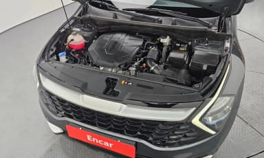 Sportage 5th Generation