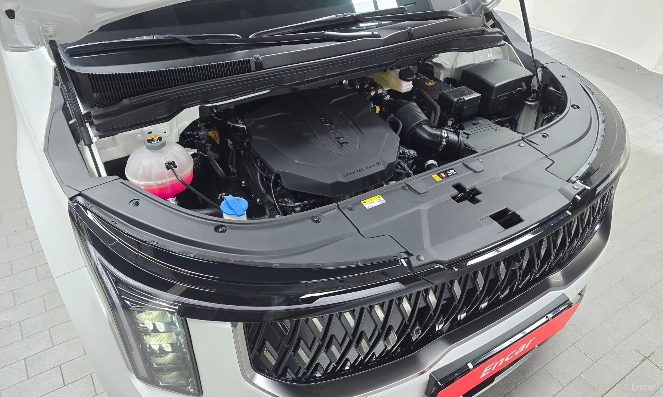 Carnival 4th Generation