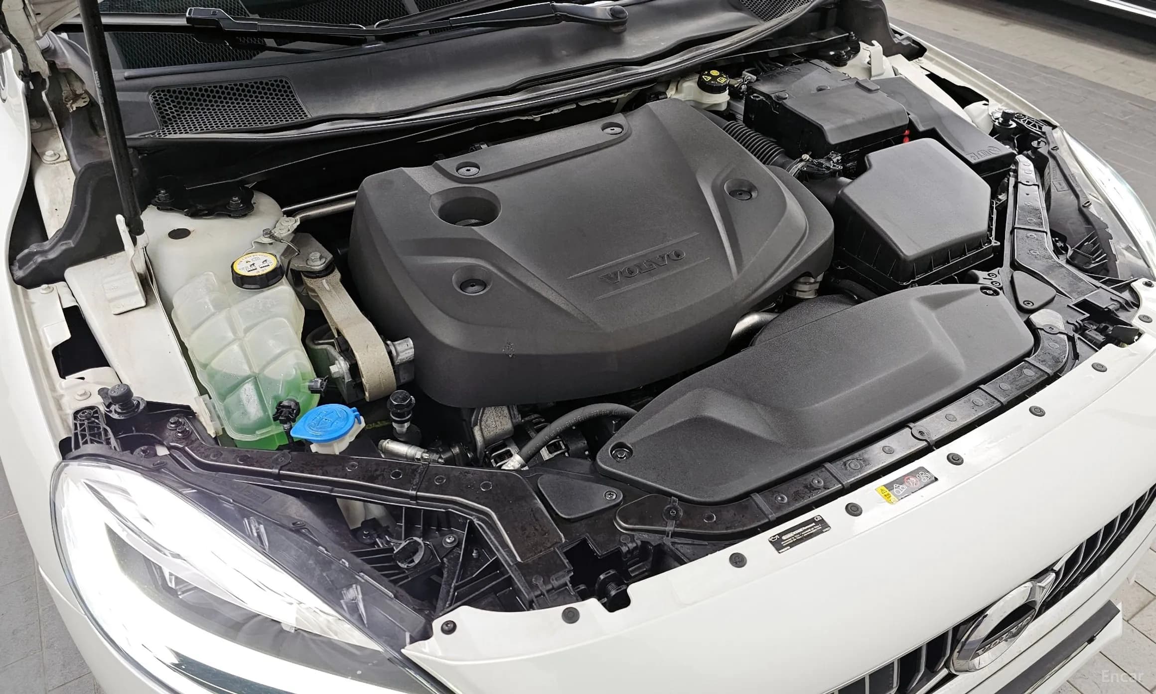 V40