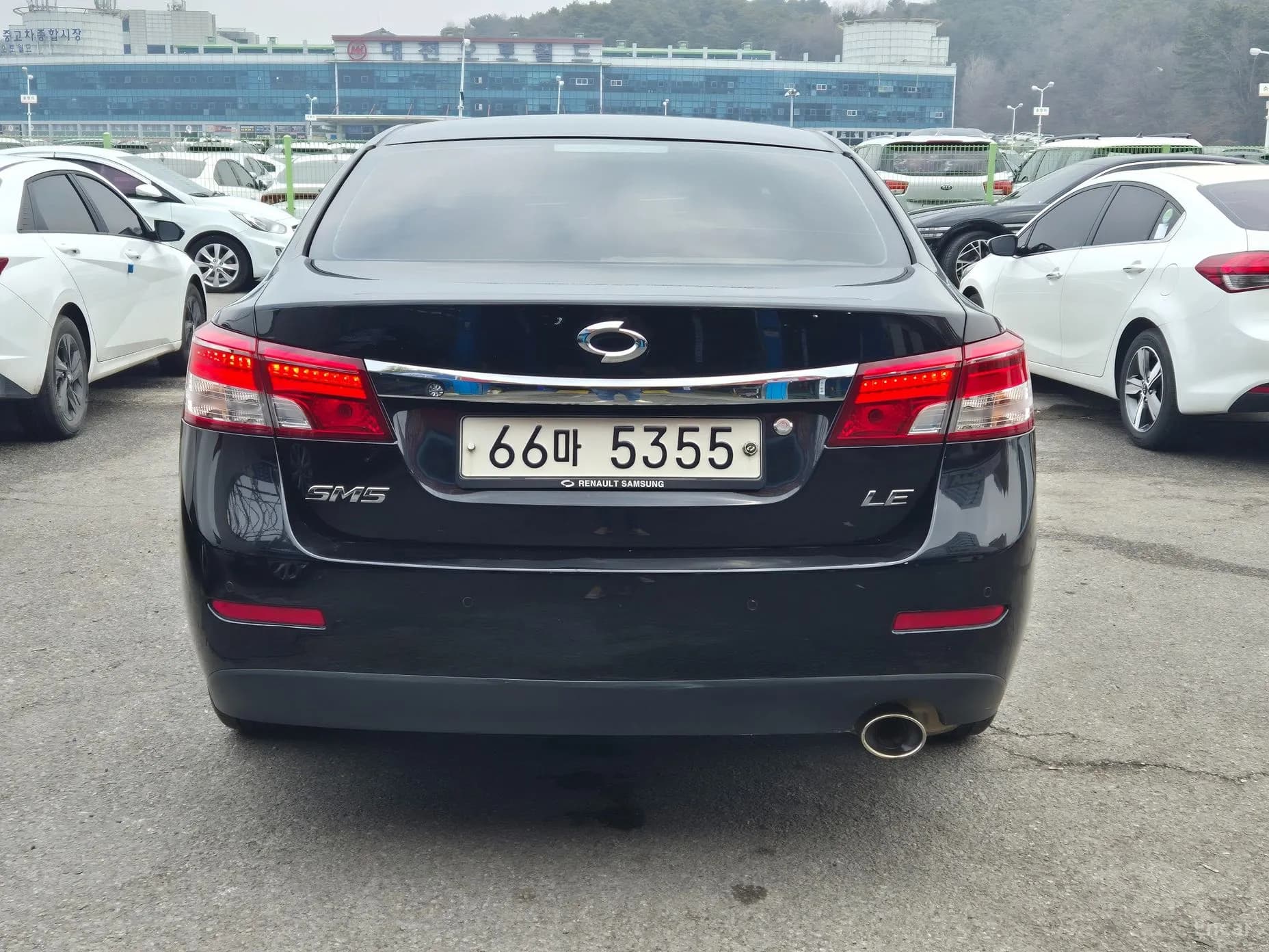 SM5 Platinum