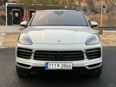Cayenne (PO536)