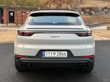 Cayenne (PO536)