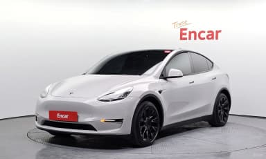 Model Y