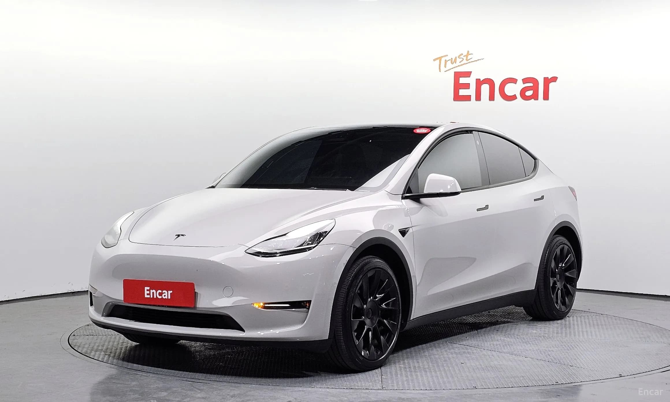 Model Y
