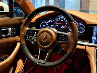 Panamera (971)