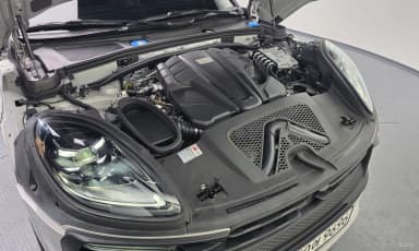 Macan