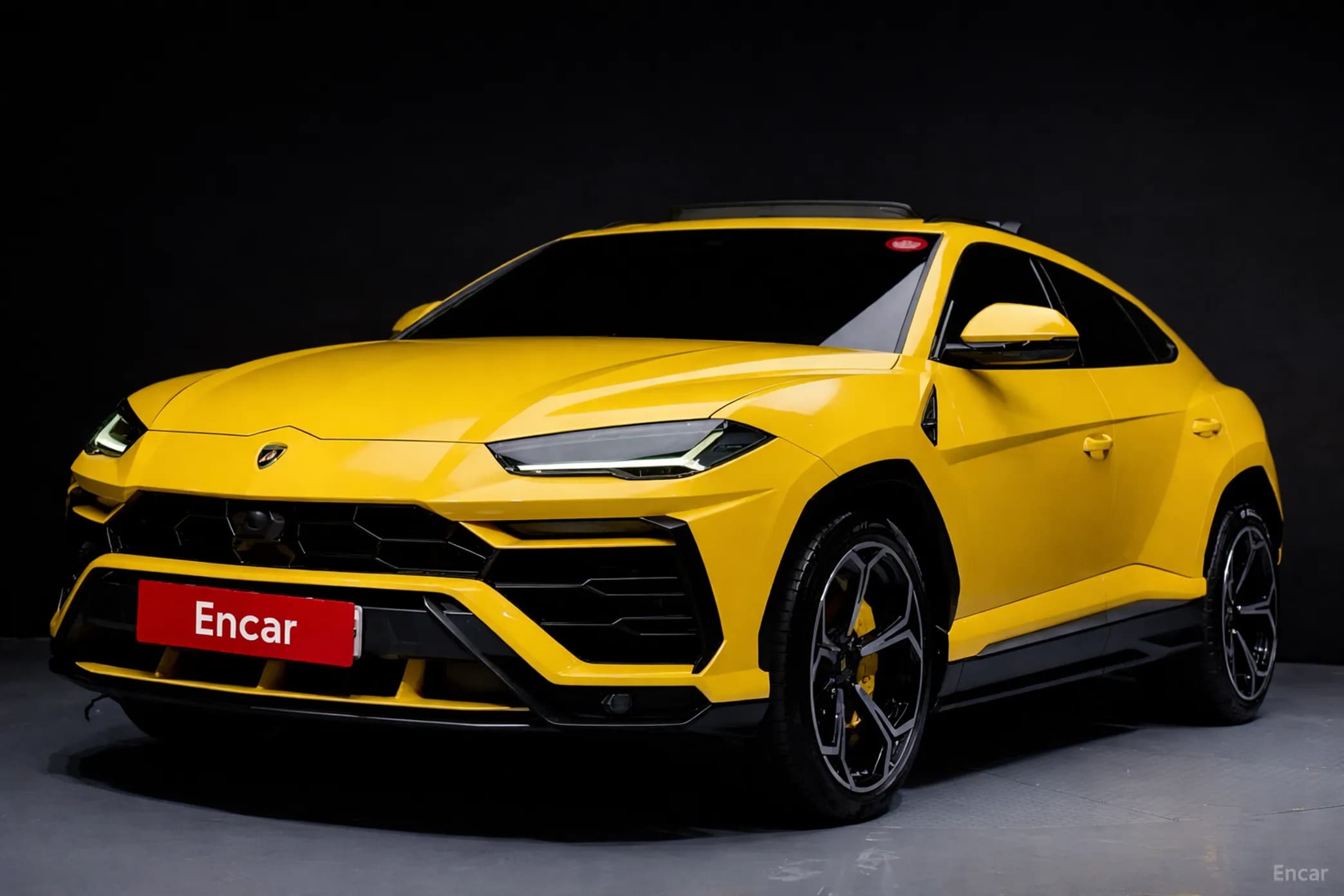 Urus