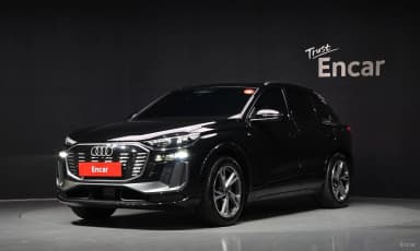 Q6 e-tron (GF)