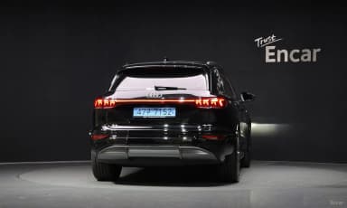 Q6 e-tron (GF)