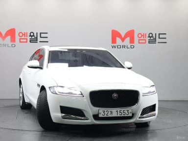 XF (x260)