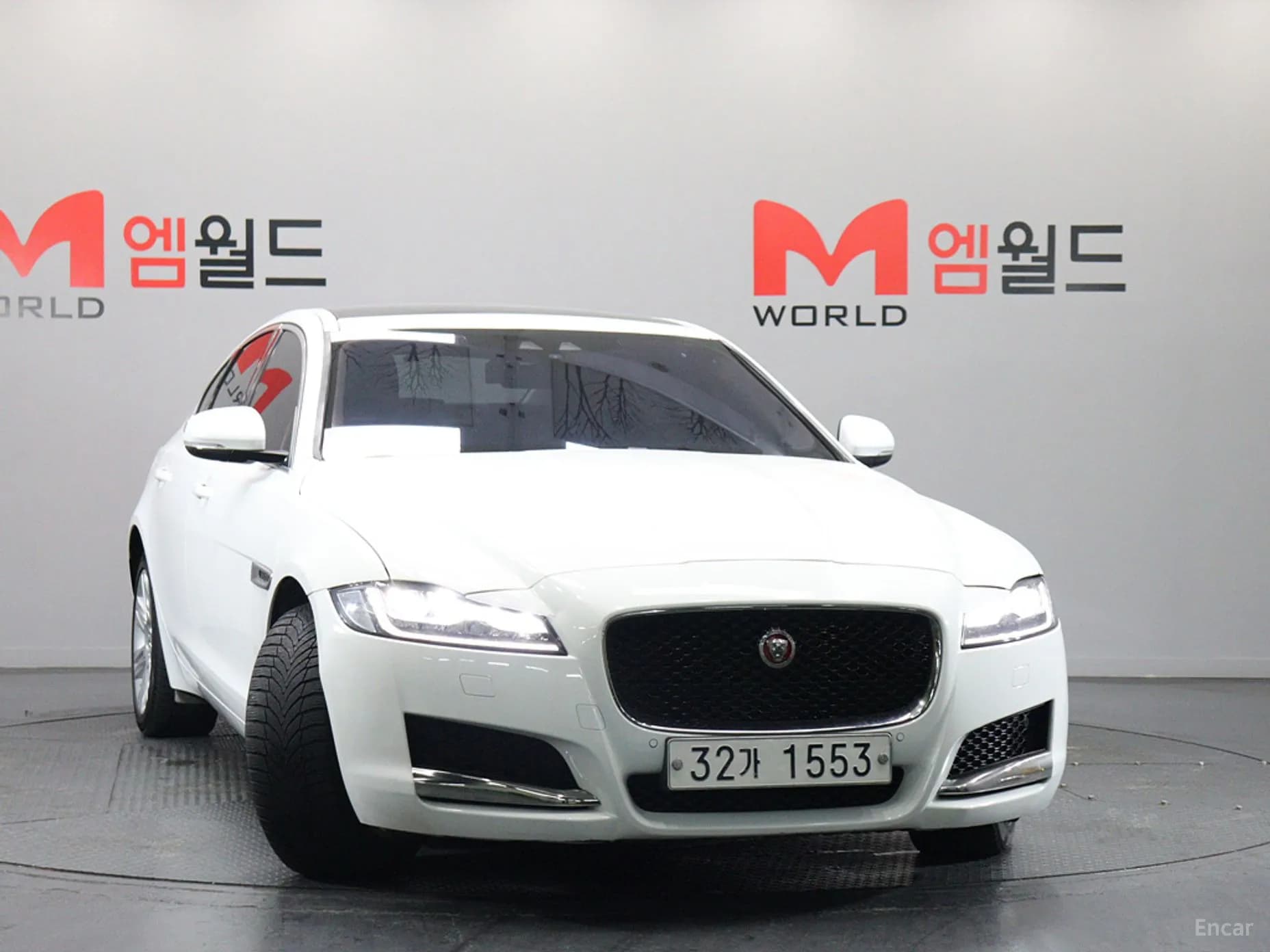 XF (x260)
