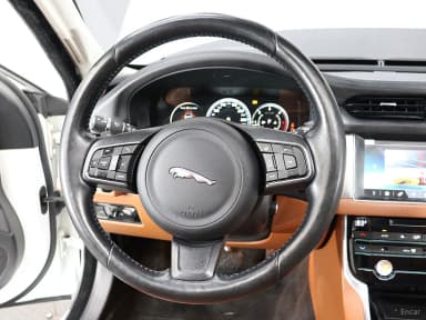 XF (x260)