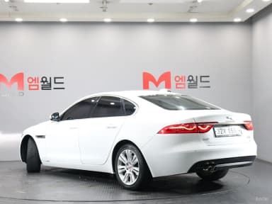 XF (x260)