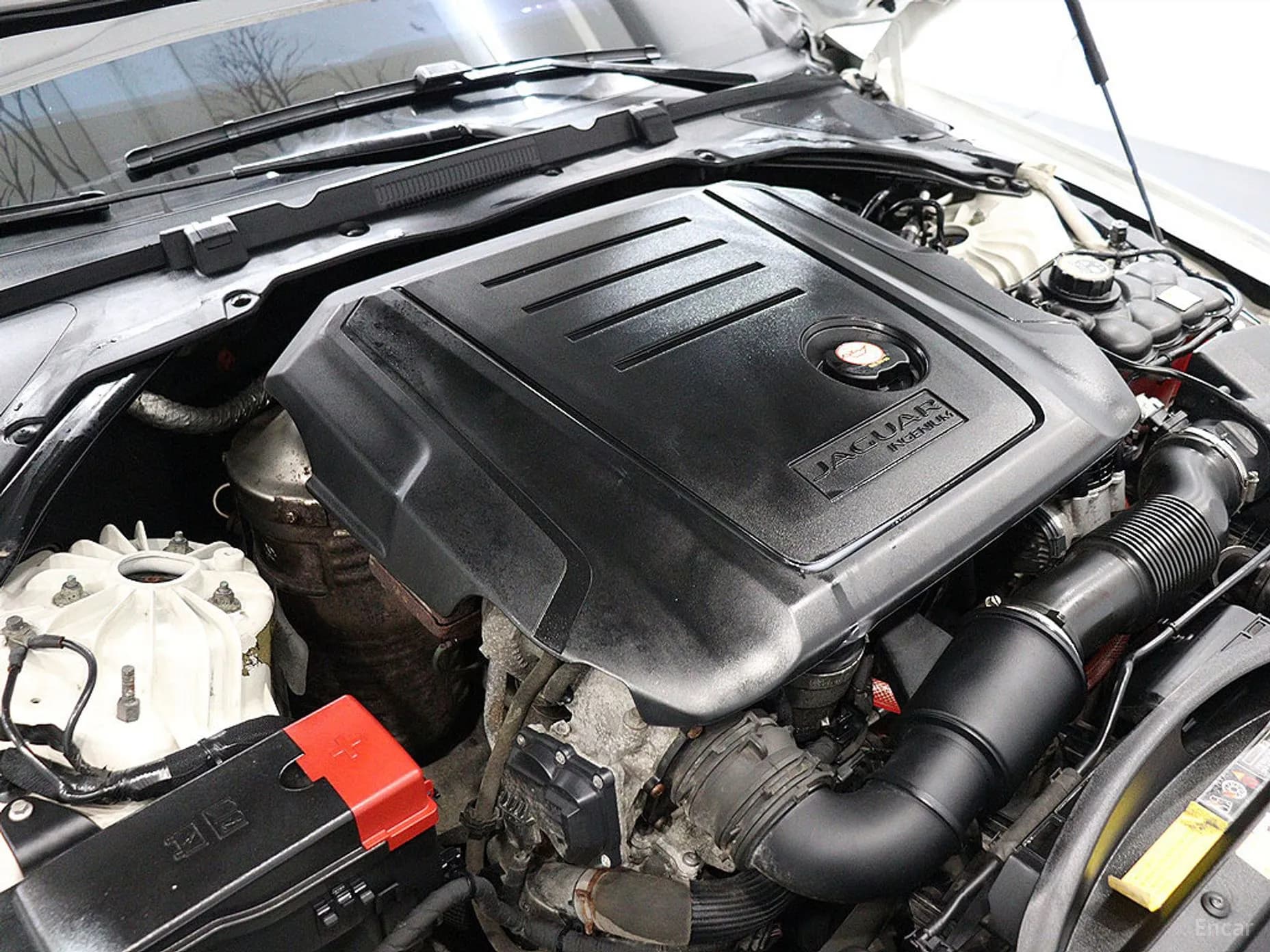 XF (x260)