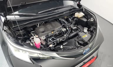 Siena 4th generation