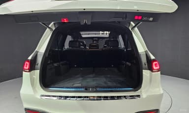GLS-Class X167