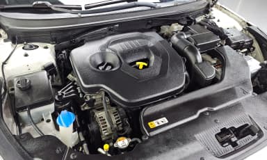 LF Sonata