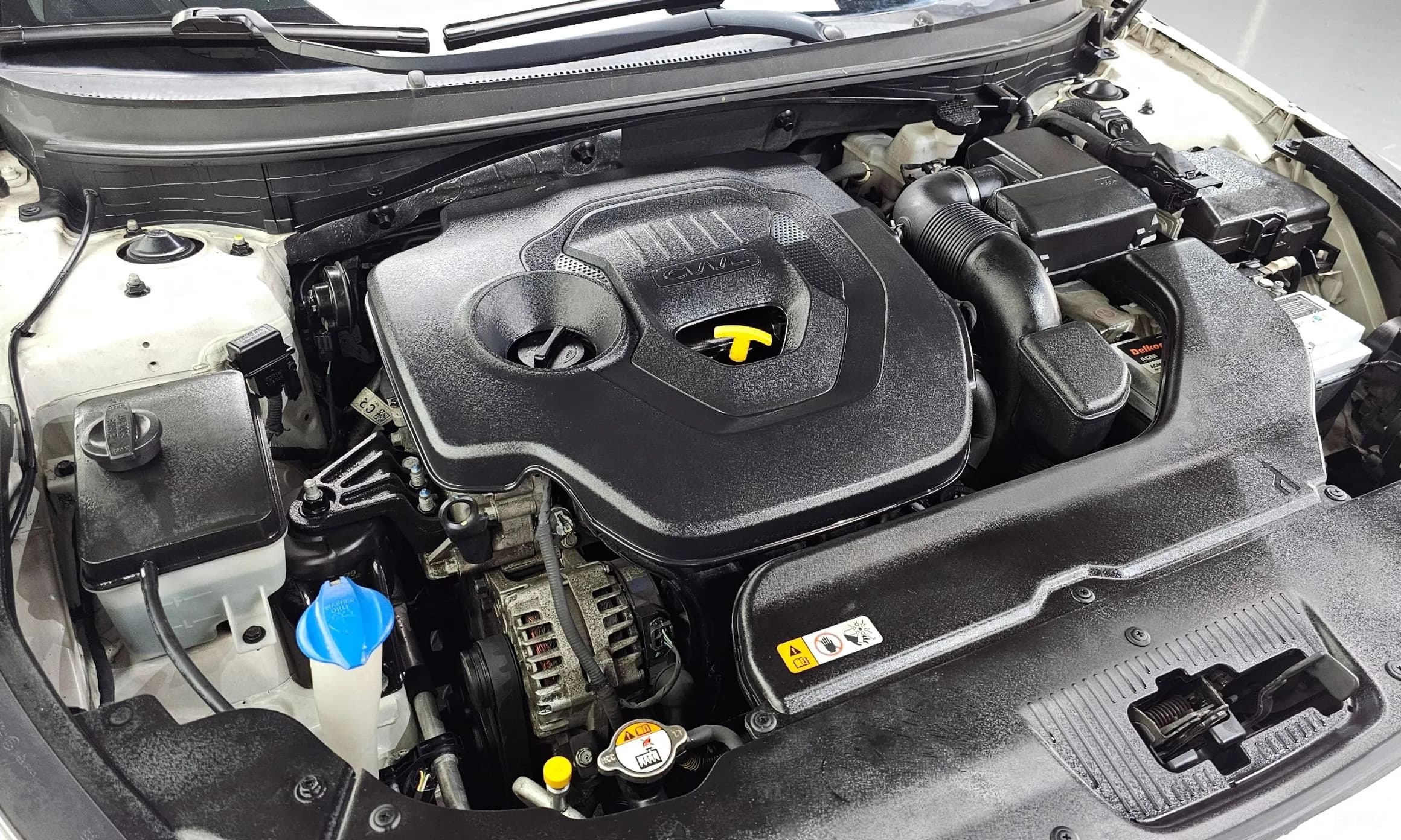 LF Sonata