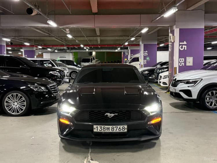 Mustang