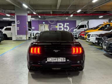 Mustang