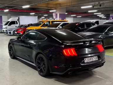 Mustang