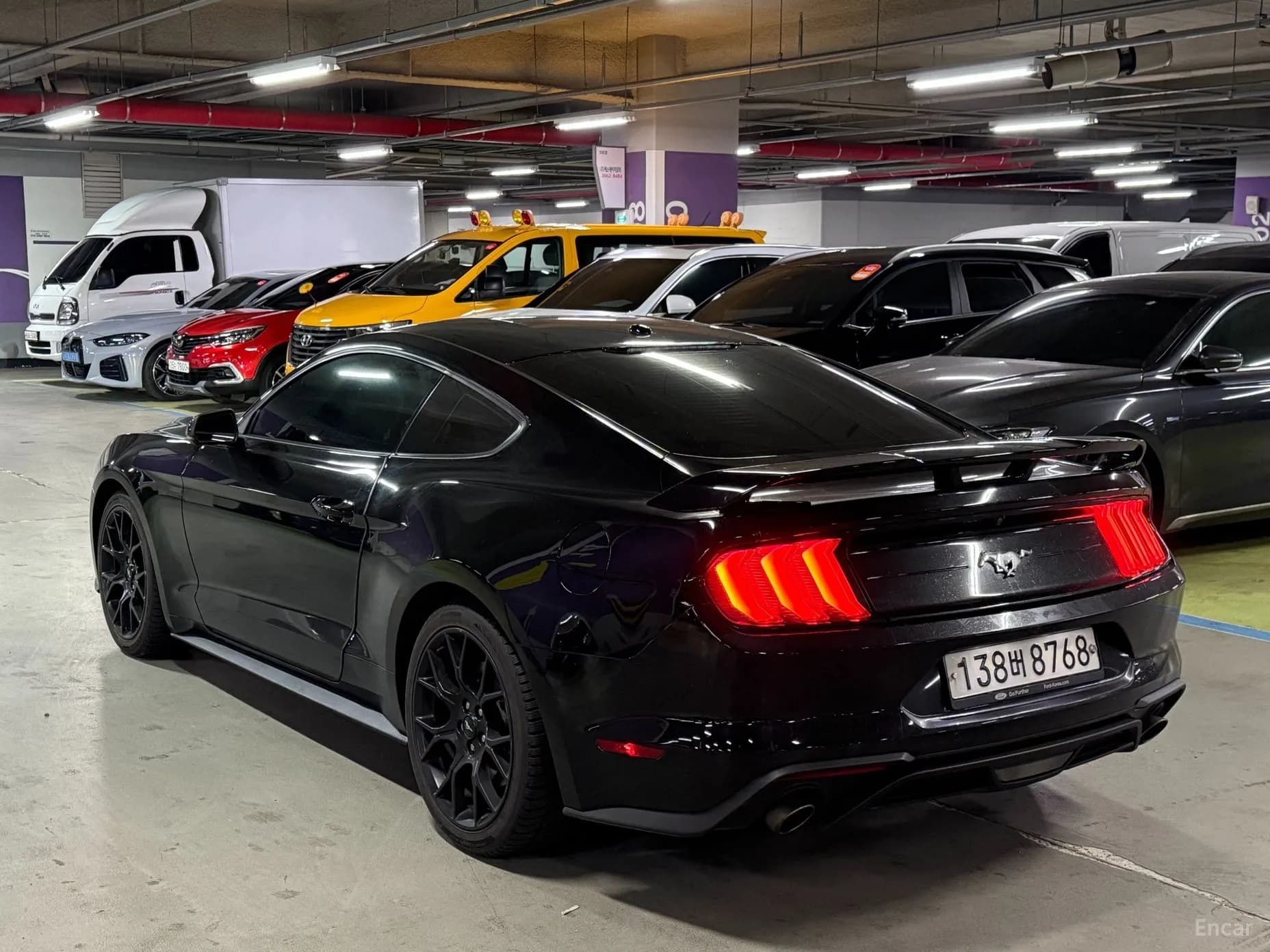 Mustang