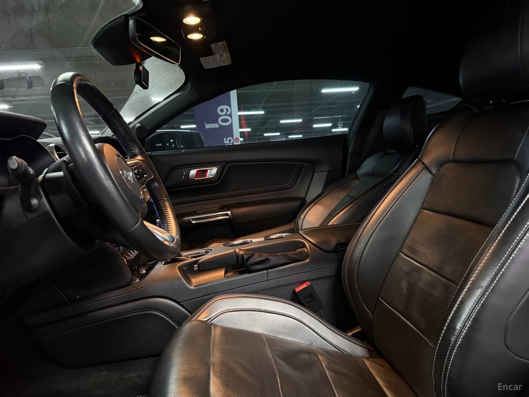 Mustang
