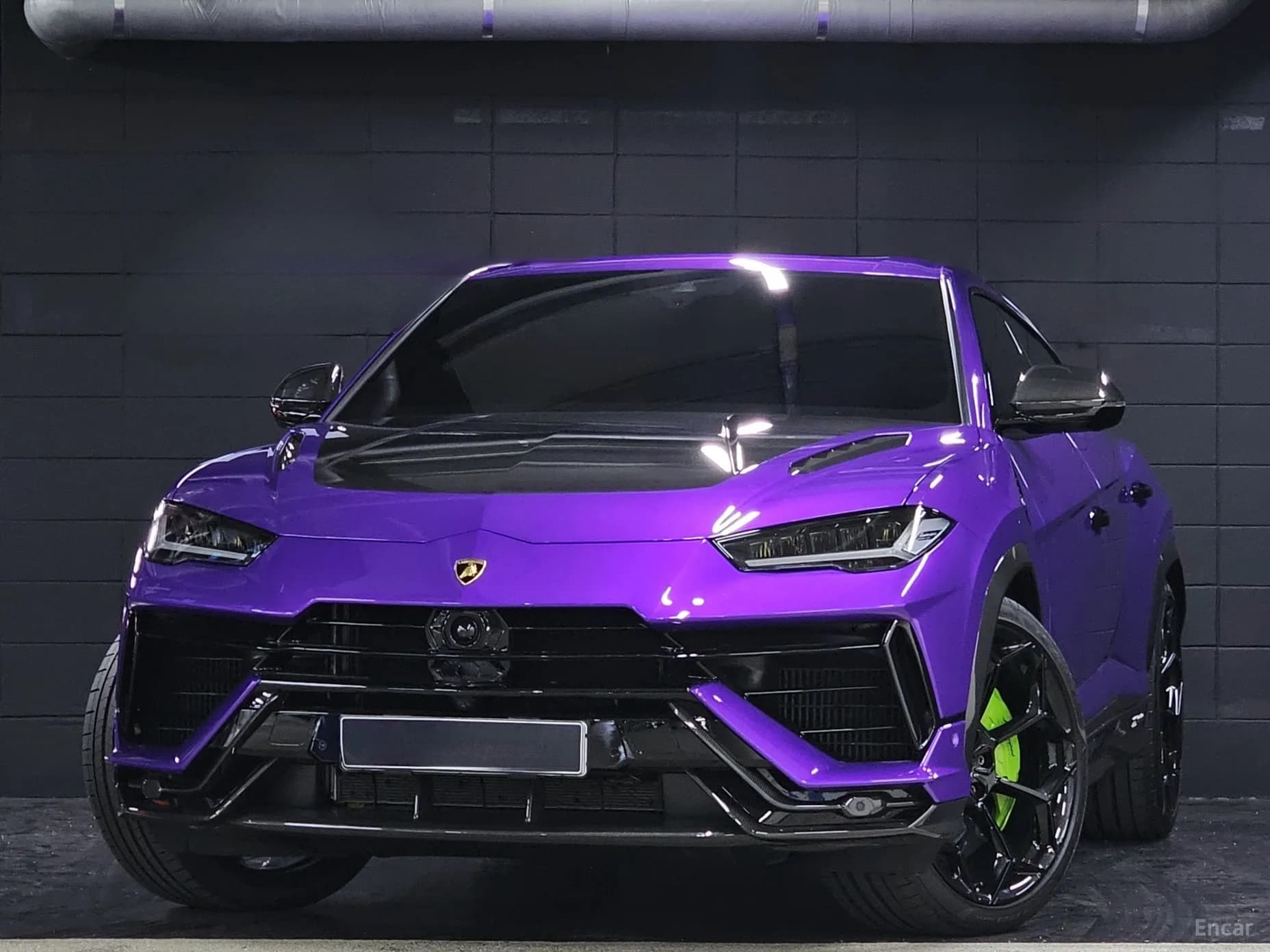 Urus