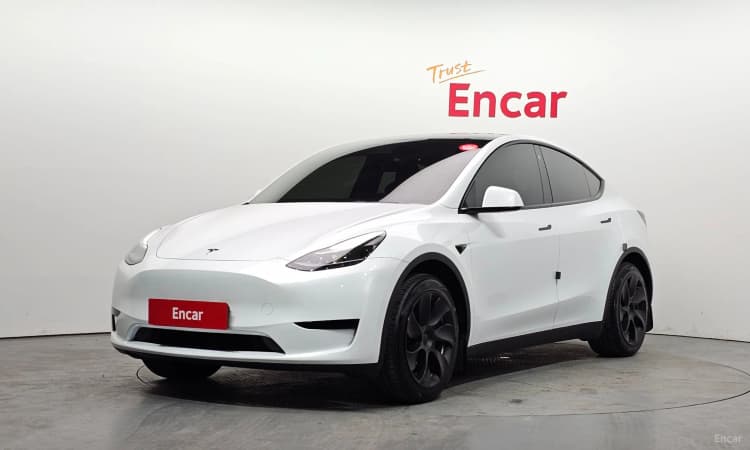 Model Y