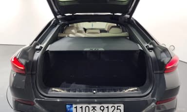 X6 (G06)