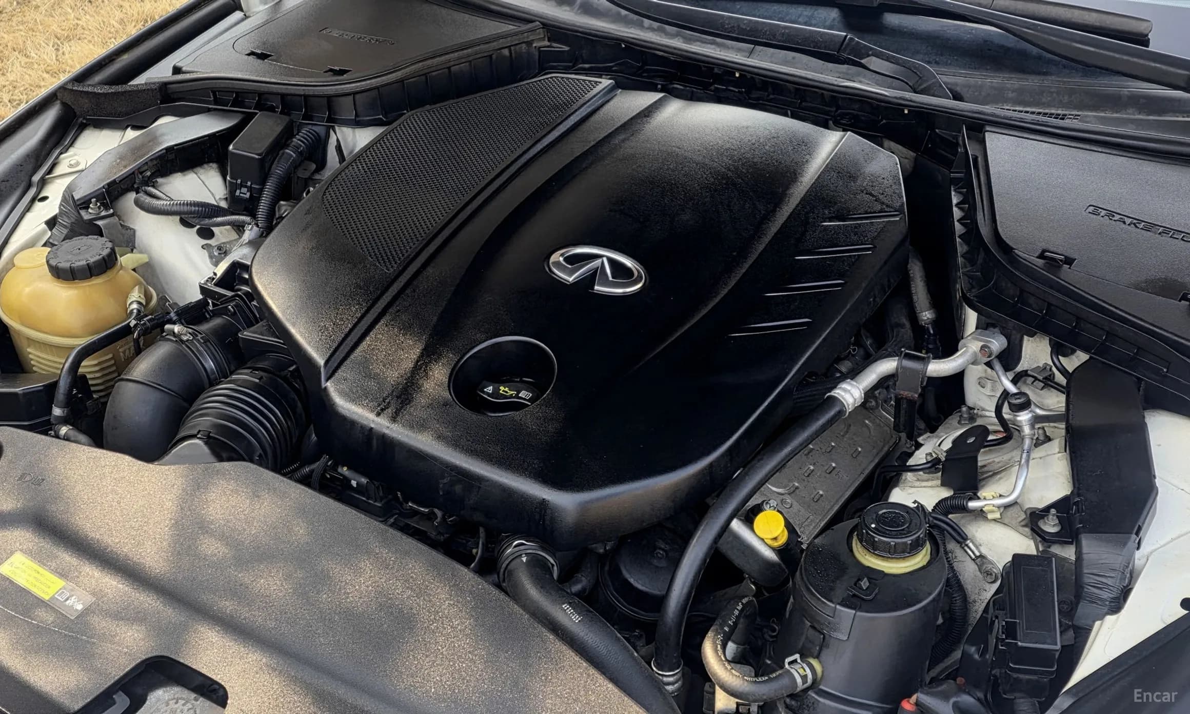Q50