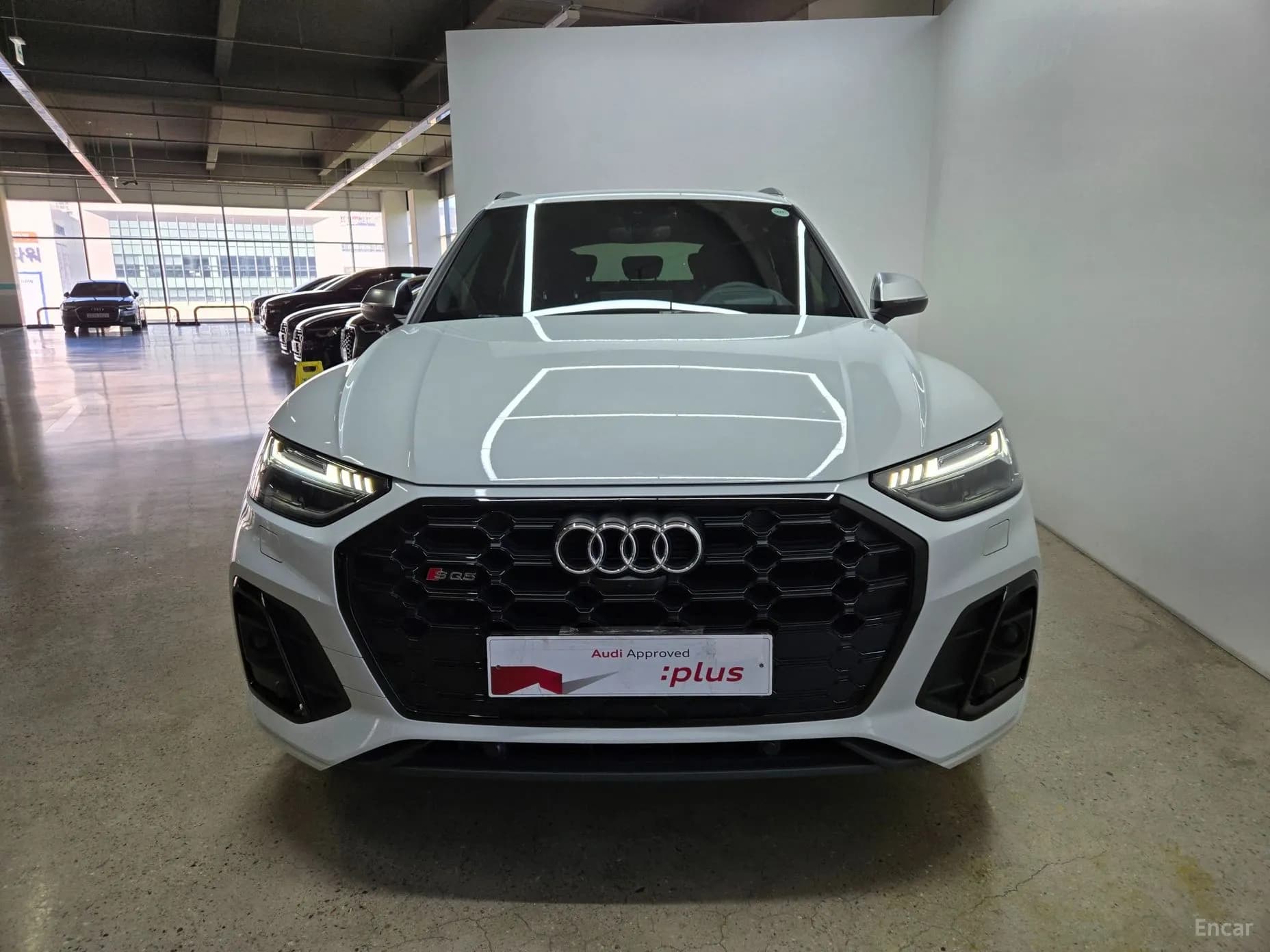 SQ5 (FY)