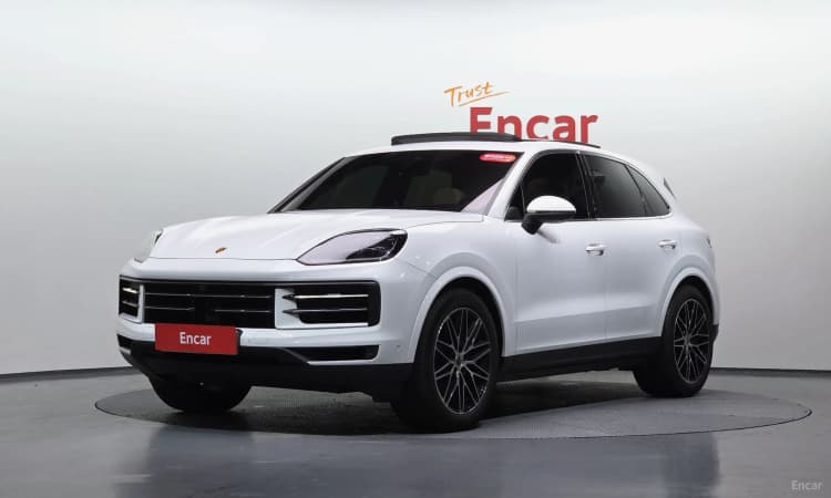 Cayenne (PO536)