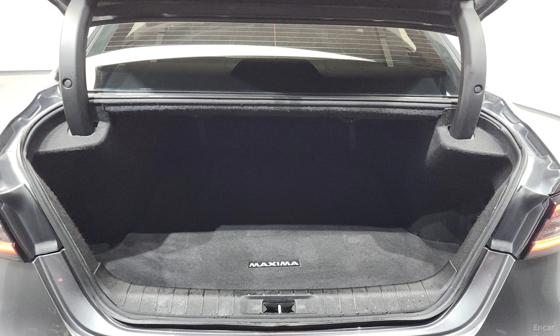 Maxima (A36)