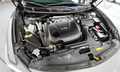 Maxima (A36)